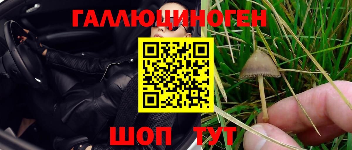 дарнет шоп  Вход с VPN  Ковров  Галлюциногенные грибы Psilocybine cubensis 